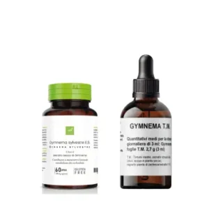 gymnema sylvestre oti