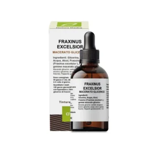 fraxinus excelsior mg oti